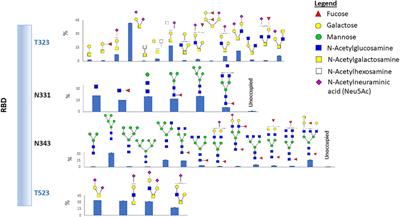 Site-Specific Glycosylation Patterns of the SARS-CoV-2 Spike Protein Derived From Recombinant Protein and Viral WA1 and D614G Strains